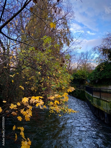 autumn in the park