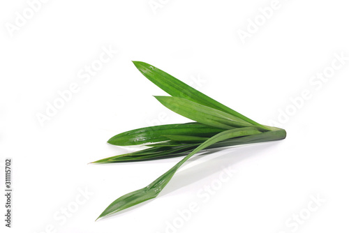 Pandan on a white background.(with Clipping Path).