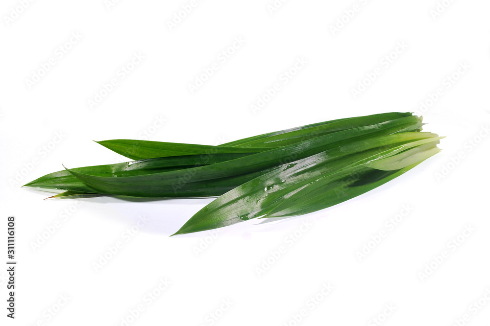 Pandan on a white background.(with Clipping Path). Pandan on a white background.(with Clipping Path).