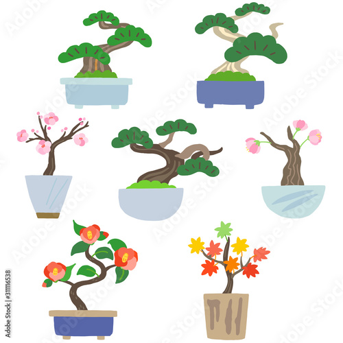 盆栽　インテリア　観葉植物