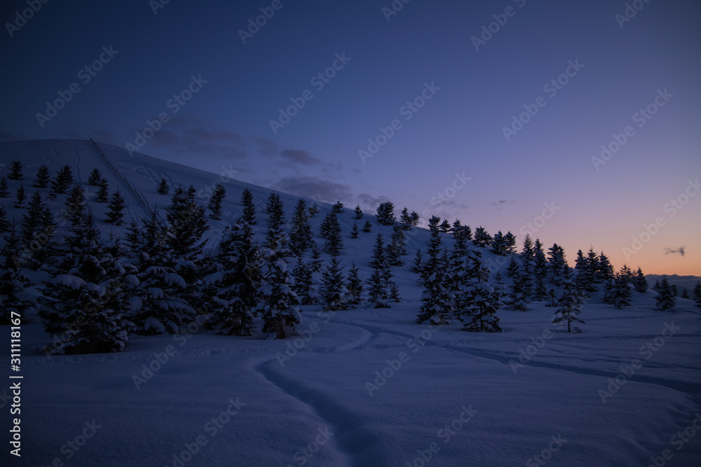 雪原の夕景