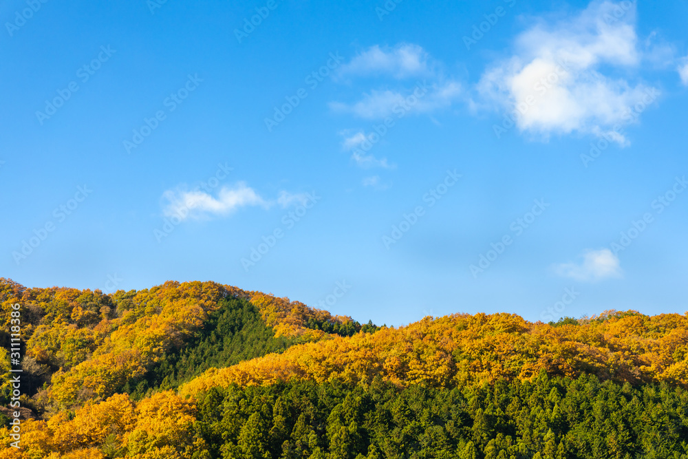 青空と美しく紅葉した山