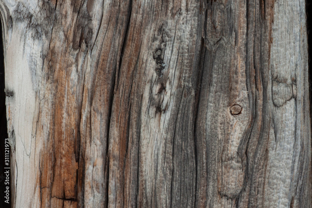 old wood texture in grey color old wood texture in grey color