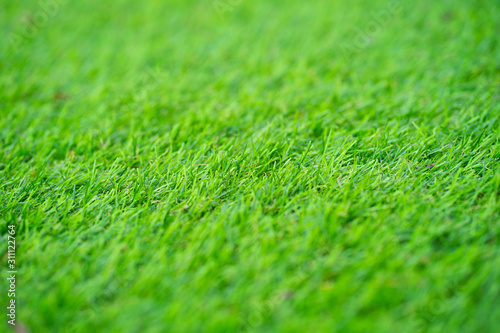  Artificial grass