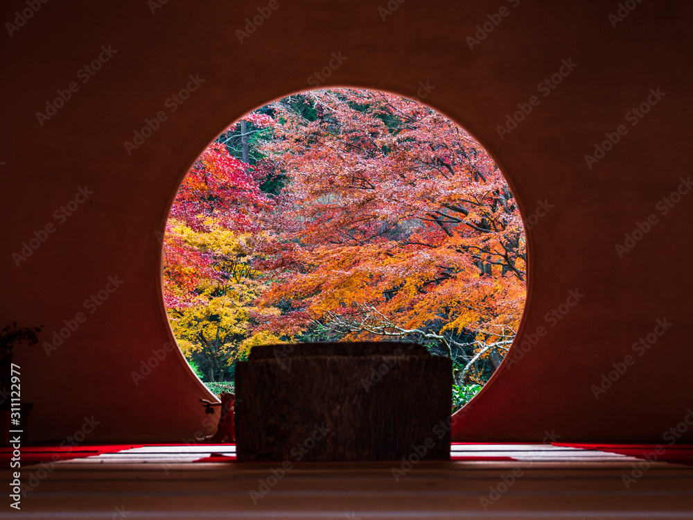 鎌倉 明月院