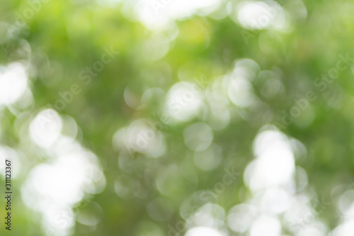Blurred background, Full frame green bokeh blur background.