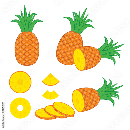 Pineapple Vector Design Illustration