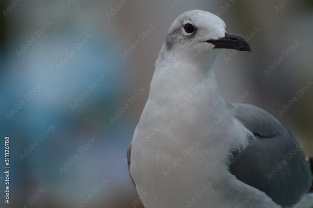 Traveling photos are the best!