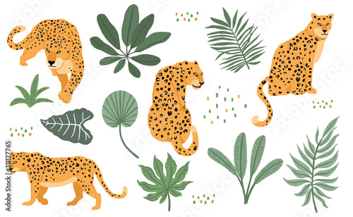 Cute animal object collection with leopard,tiger. illustration for icon,logo,sticker,printable