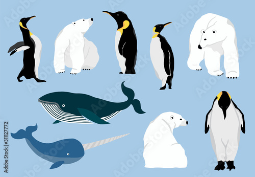 Simple arctic animal with bear polar,penguin,whale.Vector illustration character doodle cartoon