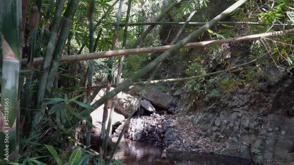 Naturaufnahmen in Bali