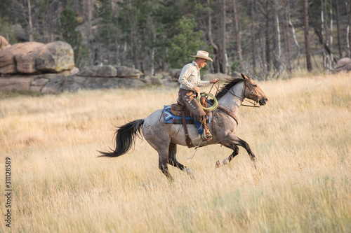 Cowboy and Roan Horse