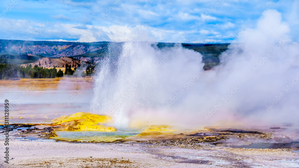 Spouting water of the active Jelly Geyser with its yellow sulfur mineral mount in the Lower Geyser Basin at the Fountain Paint Pot Trail in Yellowstone National Park, Wyoming, United States Spouting water of the active Jelly Geyser with its yellow sulfur mineral mount in the Lower Geyser Basin at the Fountain Paint Pot Trail in Yellowstone National Park, Wyoming, United States