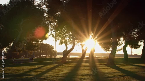 Sun flares through park trees