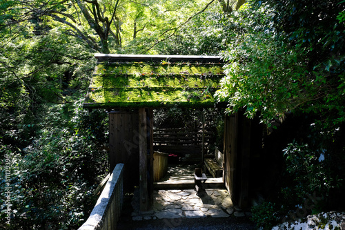 京都嵐山の大悲閣千光寺の参道の苔むした山門 © satou y1