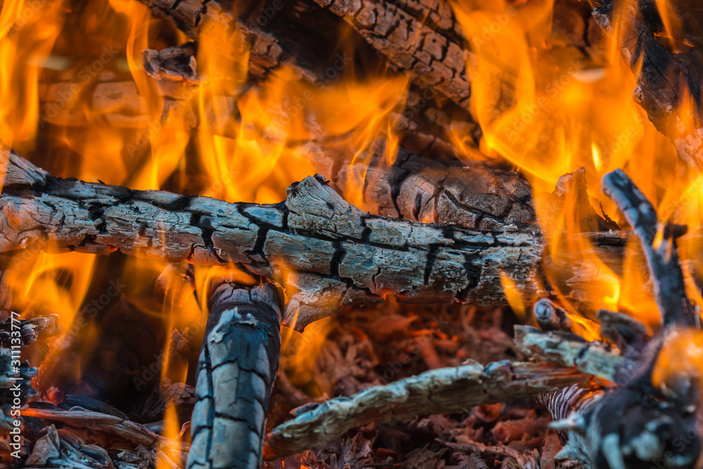 Bonfire flame and charred logs close-up. Abstract background Bonfire flame and charred logs close-up. Abstract background