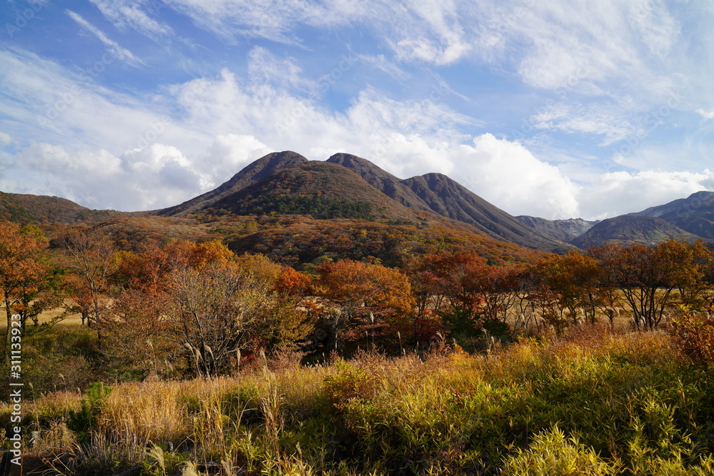 タデ原湿原　紅葉　大分県玖珠郡九重町