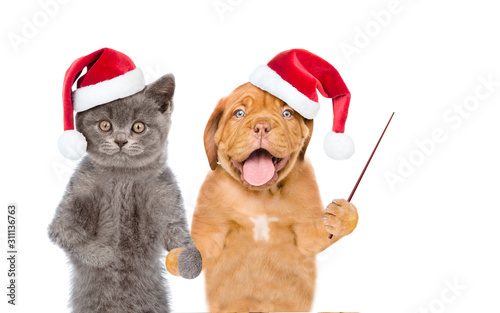 Funny cat and dog wearing red christmas hats and pointing away on empty space. isolated on white background © Ermolaev Alexandr