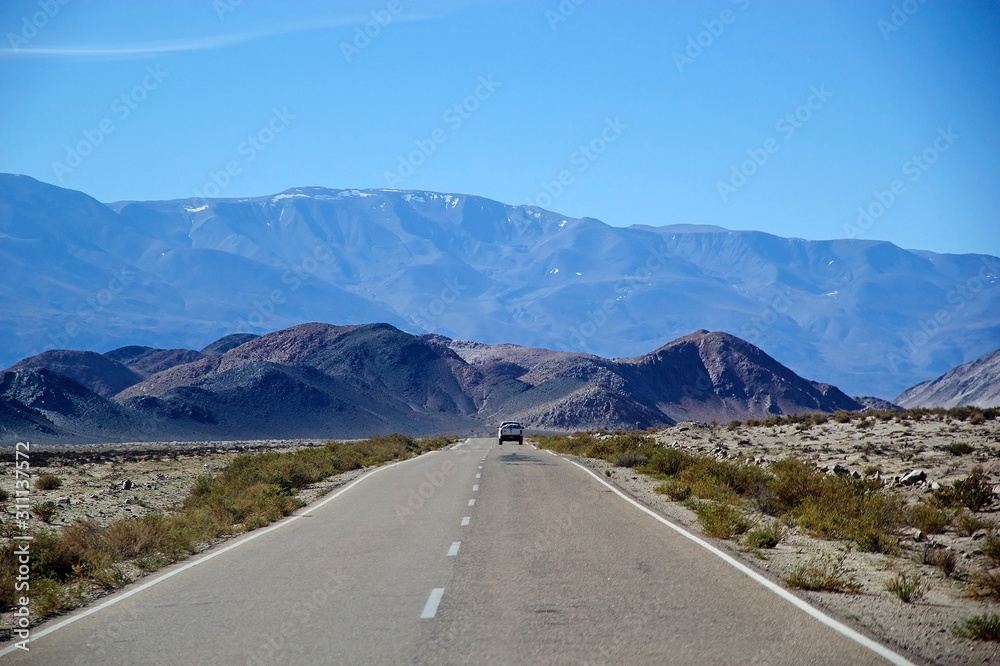Fototapeta premium Landscape in the Puna de Atacama, Argentina