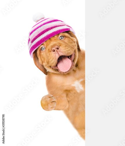 Happy puppy wearing a warm hat looks behind empty board. isolated on white background