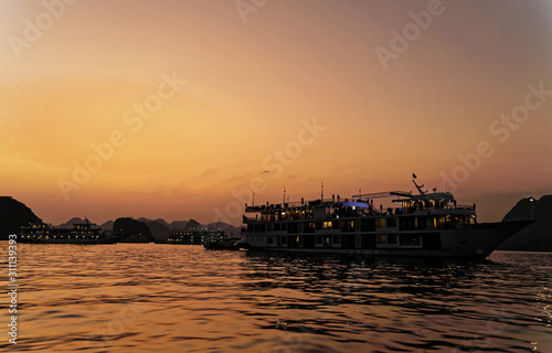 Cruise ships at anchor and ready for a night in Ha long Bay © phil_o_nector