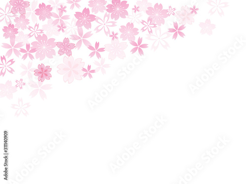 富士山と桜