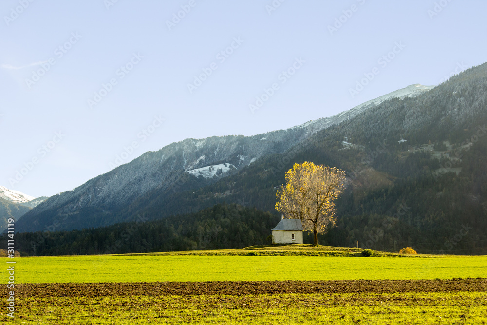 The small chapel Sogn Mang at Bonaduz, Grisons on the open field with poplar trees in backlit