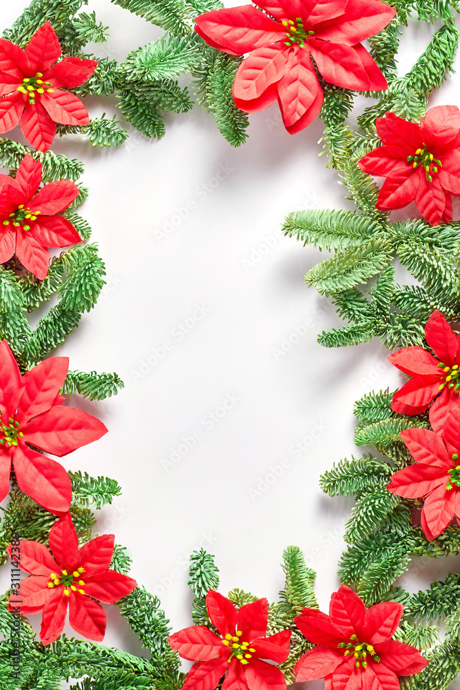 Christmas layout. the frame of fir branches decorated with red poinsettia flowers. flat lay, copy space