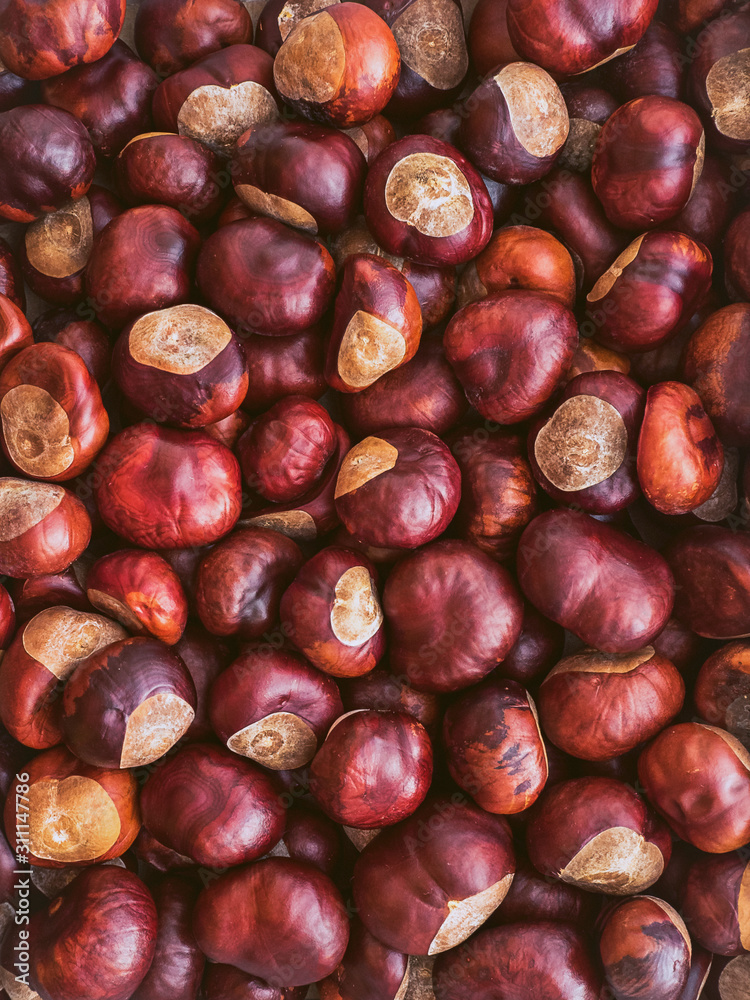 many ripe brown unpeeled chestnuts - vertical background many ripe brown unpeeled chestnuts - vertical background