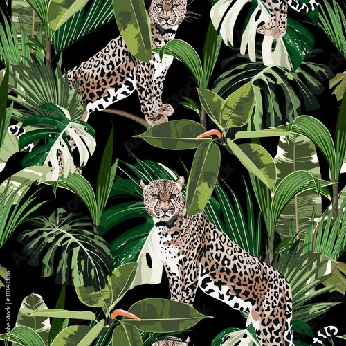 Fototapeta Naklejka Na Ścianę i Meble -  Cheetah and leopards palm leaves tropical watercolor style in the jungle seamless vector background. Black backdrop.