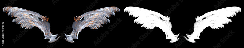 Icicles birds feather on black background with clipping path