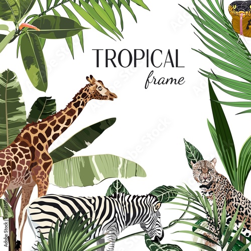 Photography African Safari Animals Frame, Cute Animals, Nature and Wildlife