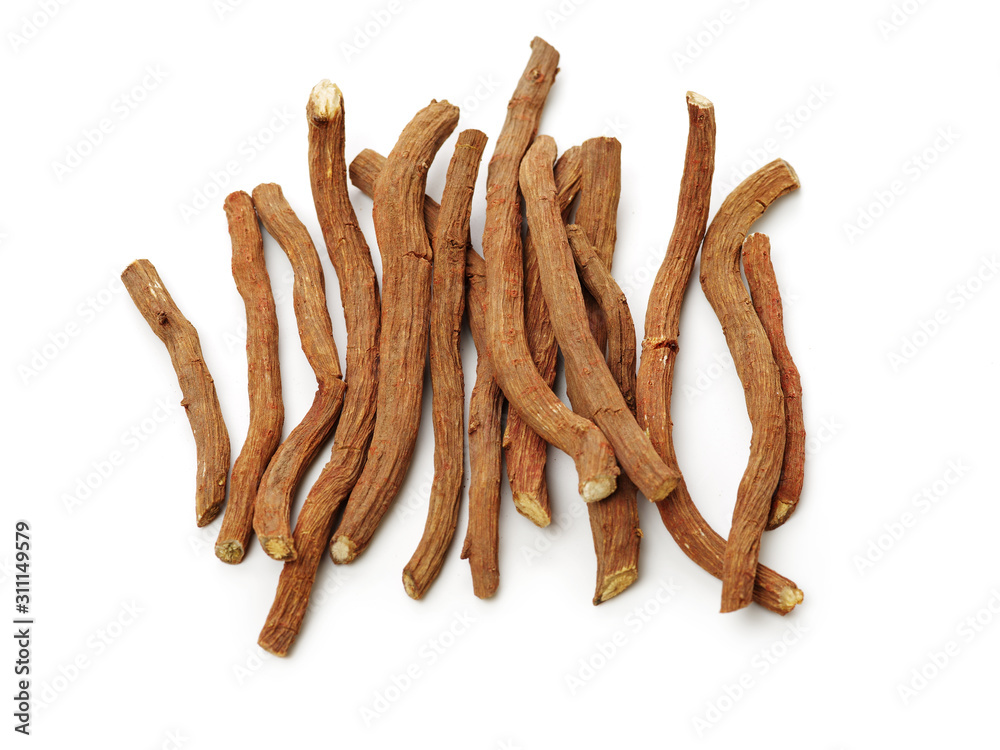 Red Sage Root(Salvia miltiorrhiza Bge)on white background Red Sage Root(Salvia miltiorrhiza Bge)on white background