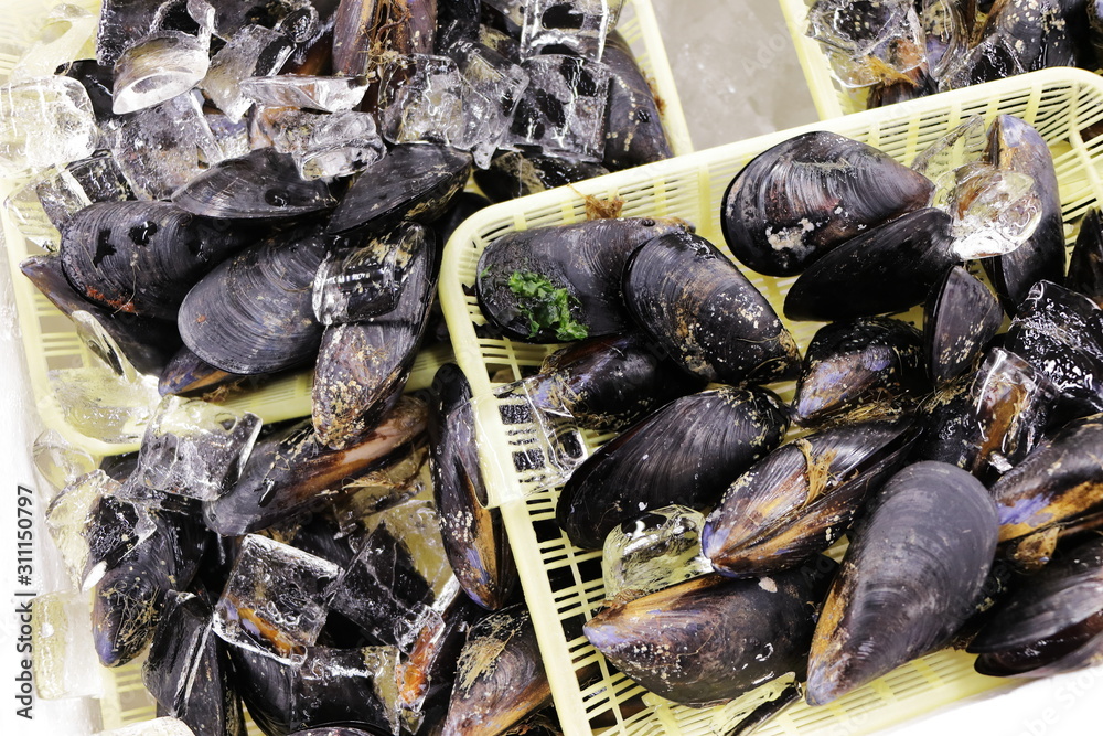 日本の市場で売られていたムール貝 StockFoto Adobe Stock