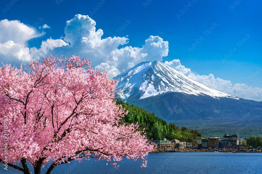 Fuji mountain and cherry blossoms in spring, Japan. Fuji mountain and cherry blossoms in spring, Japan.