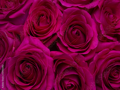 Rose flowers top view background. Close Up romantic texture for valentines day or women s day