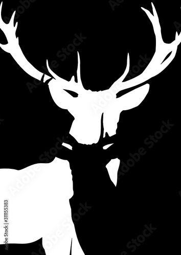 Hirsch