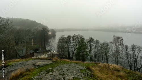 Foggy wet weather. Grey autumn or winter landscape. Sea bay, islands, trees, pines in smoky fog. Scandinavian seascape. Stone coast of Sweden. Baltic seaside. Monochrome dramatic mystical colors. 