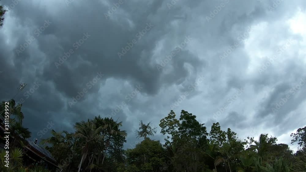 Big Thunder Storm Over Forest Big Thunder Storm Over Forest