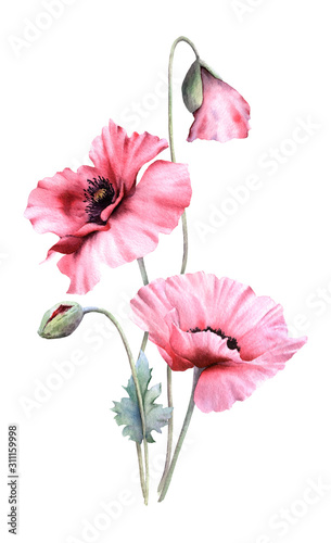 Hand drawn watercolor floral arrangement with picturesque poppies, buds and leaves isolated on a white background. Floral botanical illustration for wedding invitations, cards, patterns.