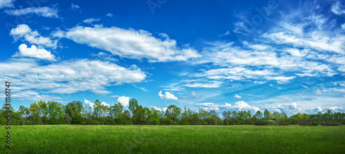 Beautiful large panorama scene with green grass and blue sky with clouds, windows wallpaper