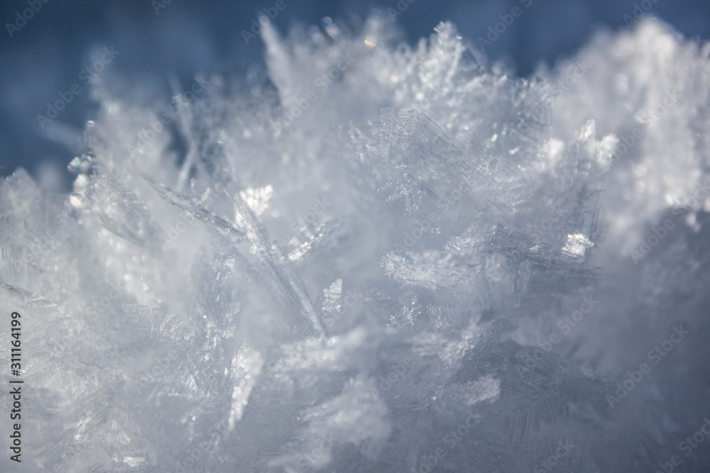 Fototapeta premium ice