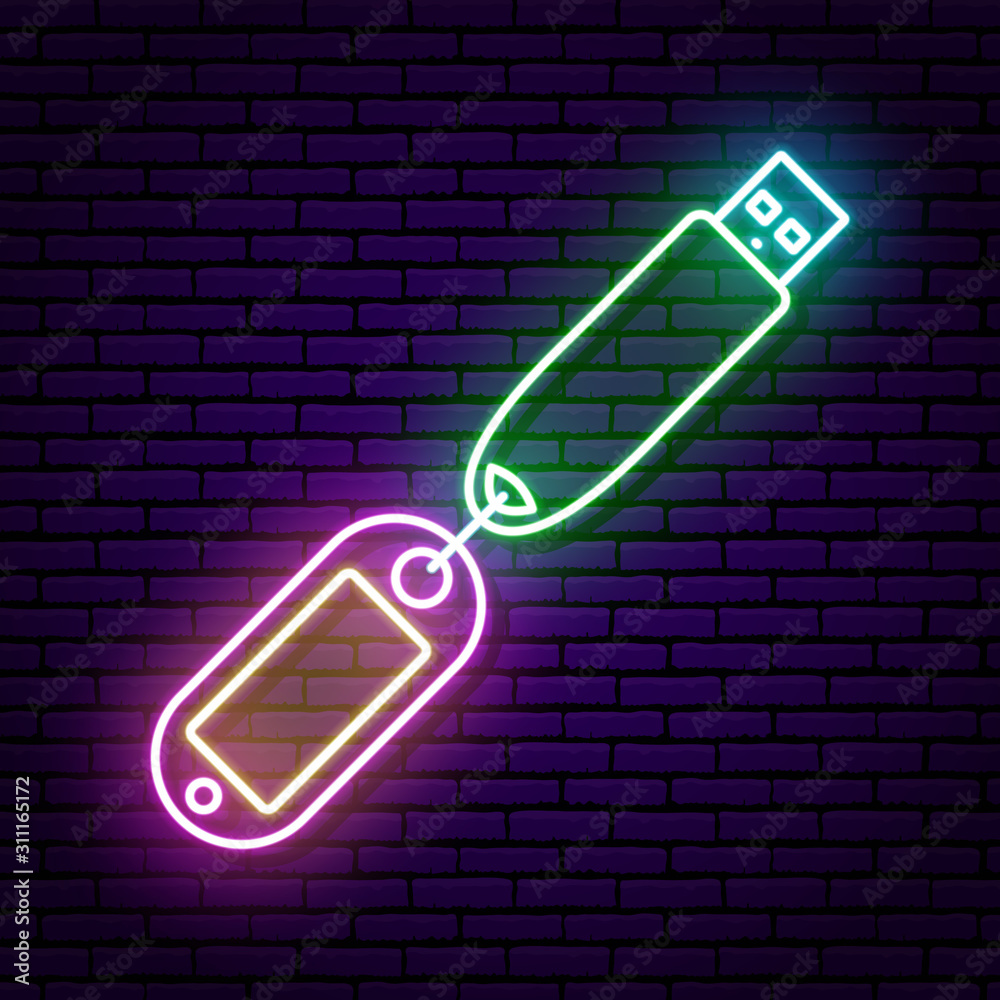 Multicolored Neon Sign, Usb Flash Drive, With Tags For The Inscription.  Against The Background Of A Brick Wall With A Shadow. Isolated. Stock  Vector | Adobe Stock
