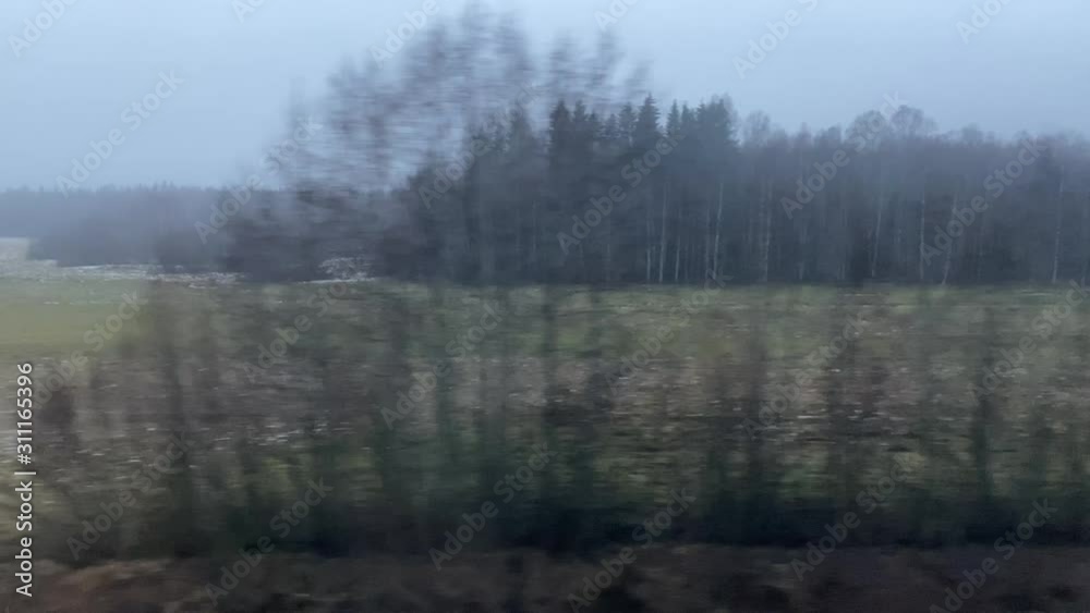 View From Train Finnish Landscape