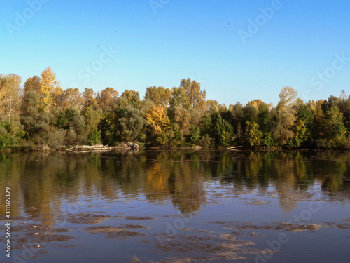 Ulba river with green trees on the banks. Central Asia, Kazakhstan. Green forest. River landscape