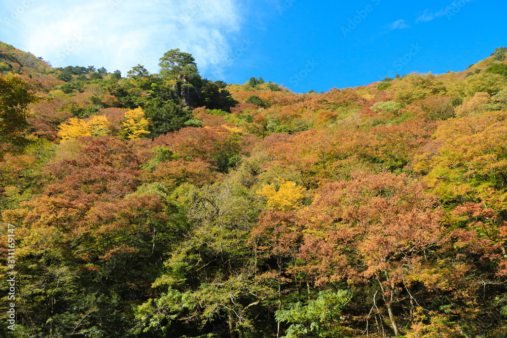 三段峡の秋（広島）