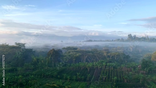 Wide view of some farms and orchards in the mountains of Papua New Guinea photo