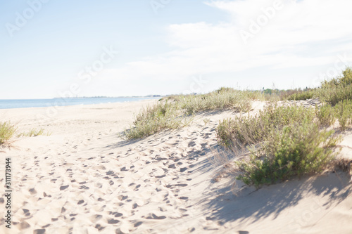 Deserted beach on sunny summer day