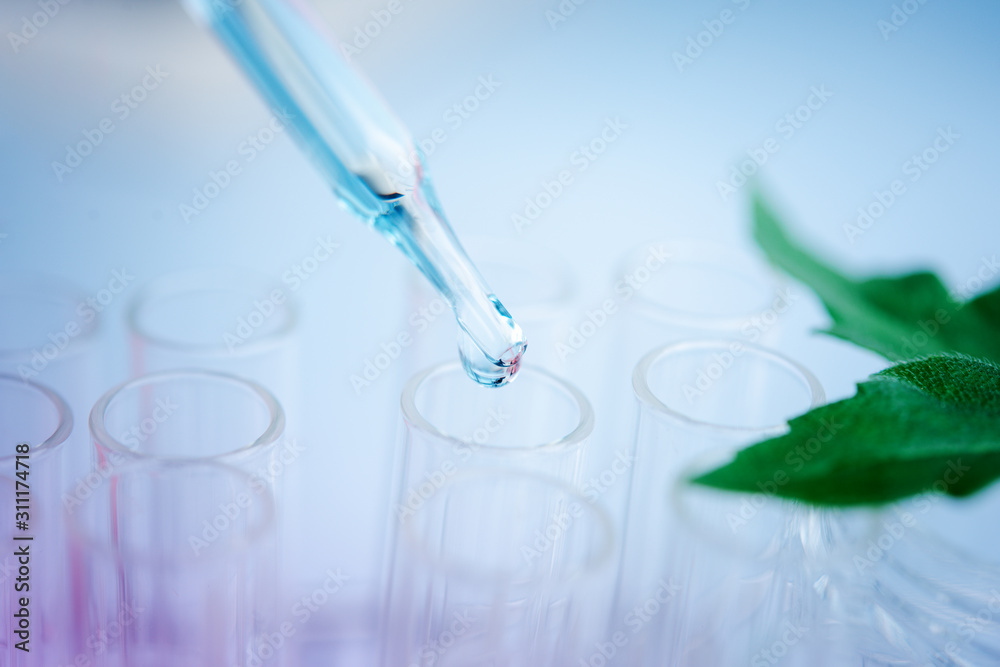 Dropper over test tube dropping sample chemical into sample herbal plaint , biotechnoloy research concept.Natural extracts Dropper over test tube dropping sample chemical into sample herbal plaint , biotechnoloy research concept.Natural extracts