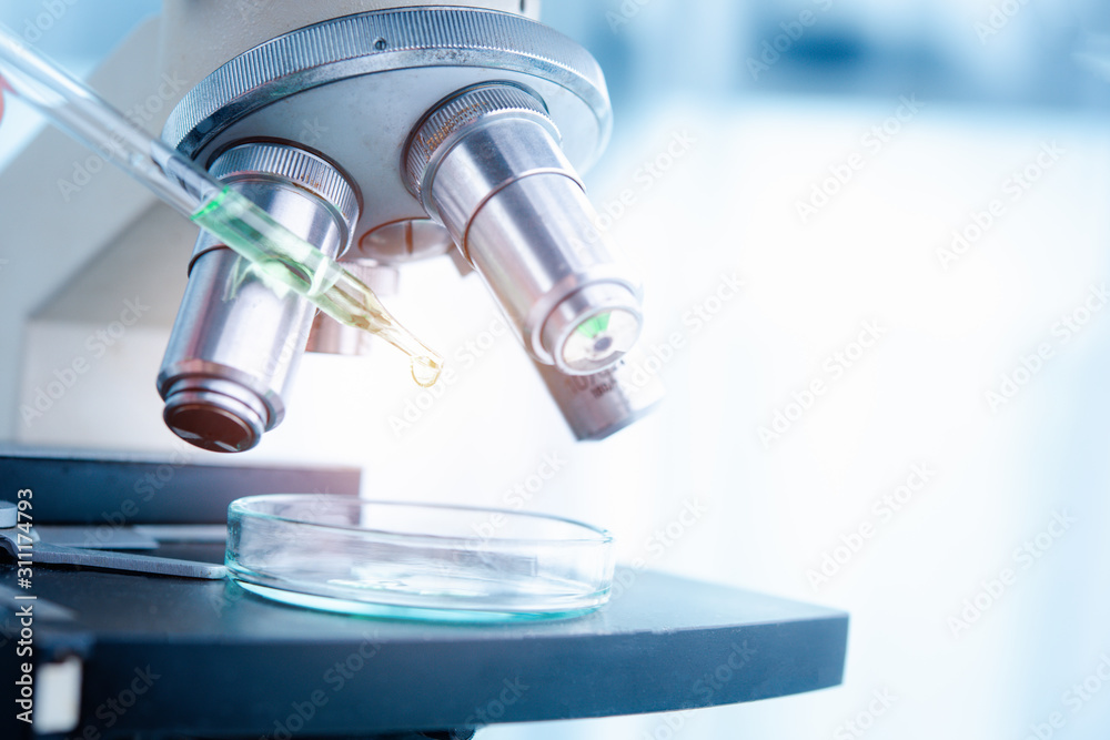 Dropper over test tube dropping sample chemical into sample herbal plaint , biotechnoloy research concept.Natural extracts Dropper over test tube dropping sample chemical into sample herbal plaint , biotechnoloy research concept.Natural extracts